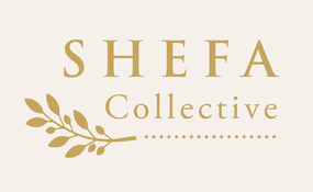 theshefacollective.co.za